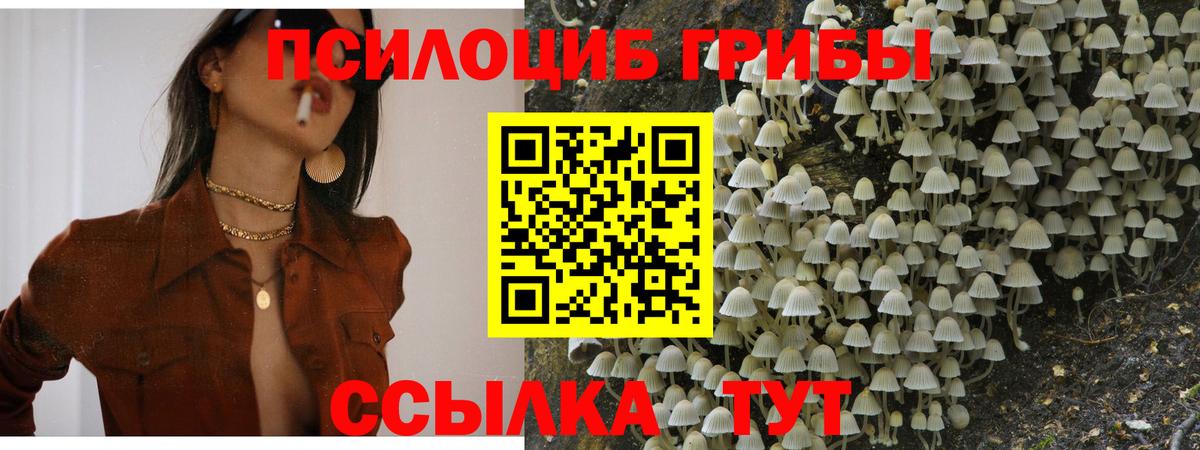 Псилоцибиновые грибы мухоморы  Псилоцибиновые грибы прущие грибы  Норильск 
