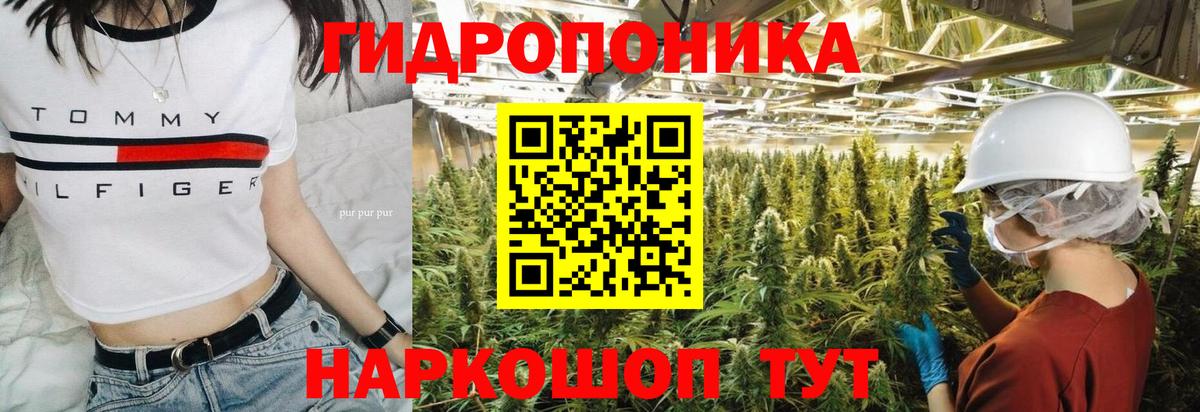 Канабис сатива Норильск